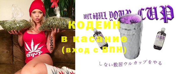 шишки Няндома