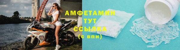 шишки Няндома