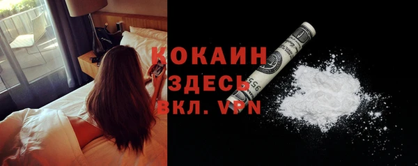 шишки Няндома