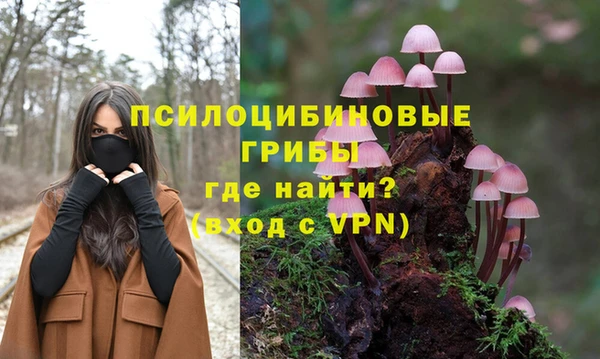 шишки Няндома
