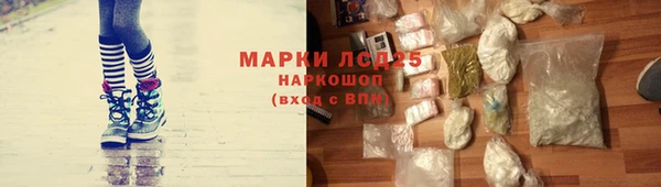 шишки Няндома