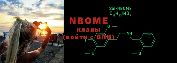 шишки Няндома