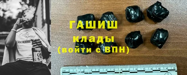 шишки Няндома