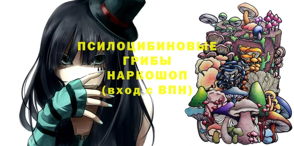 шишки Няндома