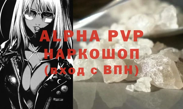 крисы Осташков