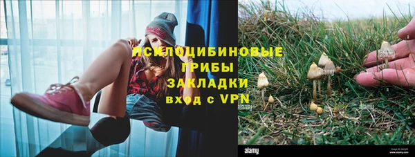 крисы Осташков