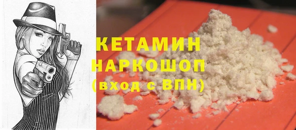 шишки Няндома