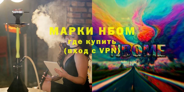 шишки Няндома