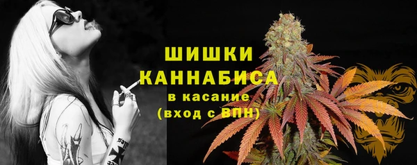 шишки Няндома