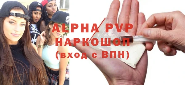 шишки Няндома