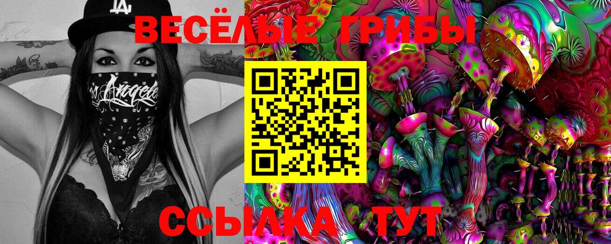Галлюциногенные грибы Psilocybe  Вход с VPN  Галлюциногенные грибы GOLDEN TEACHER  Полысаево 
